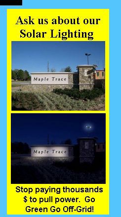 Maple Trace Day Night